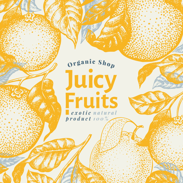 橘子水果设计模板手绘图片下载