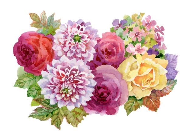 秋天的水彩花园鲜花盛开图片下载