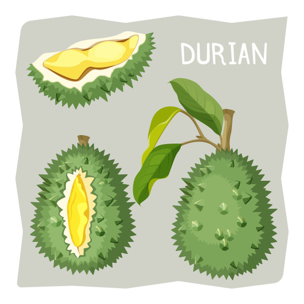 榴莲果皮上有锋利的碎裂片图片下载