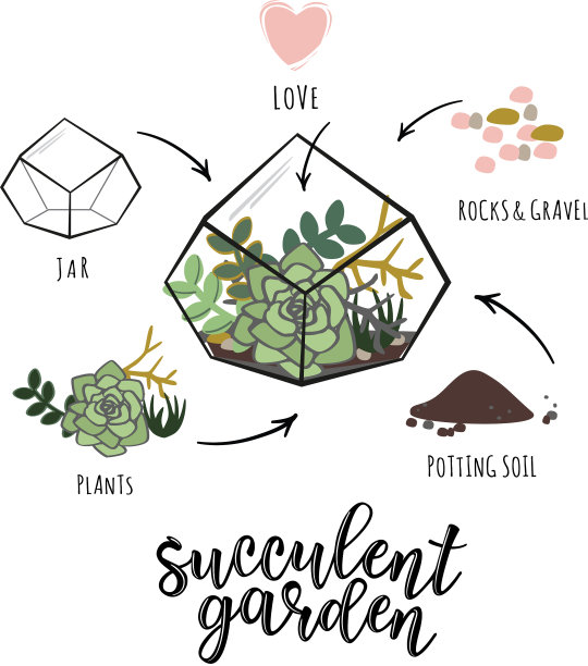 多汁的花园信息图表图片下载