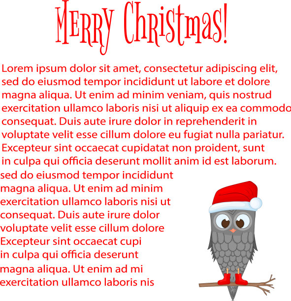 猫头鹰在树枝上戴着圣诞老人的帽子和靴子图片下载