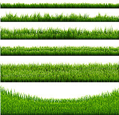 绿草边大集合图片下载