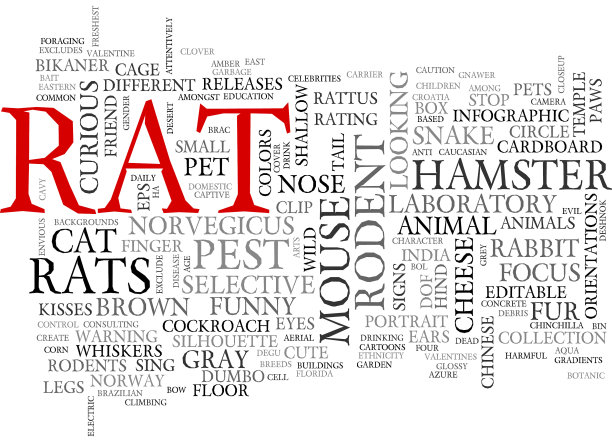 老鼠词云概念图片下载
