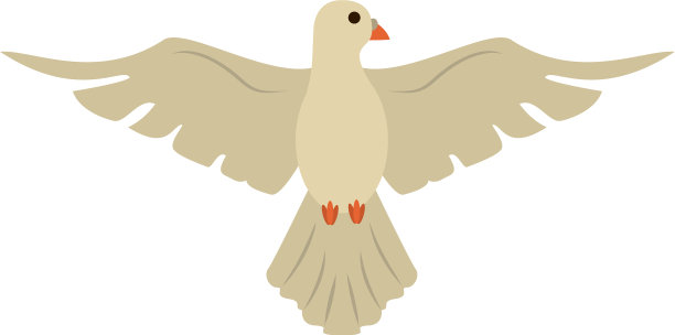 鸽子的鸟卡通图片下载