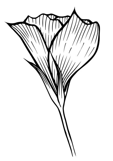 春天的花图片图片下载