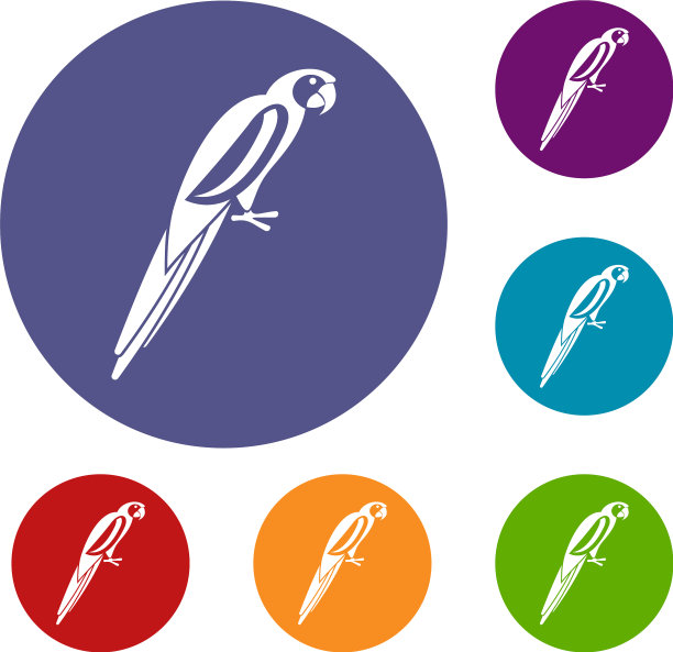 鹦鹉图标设置图片下载