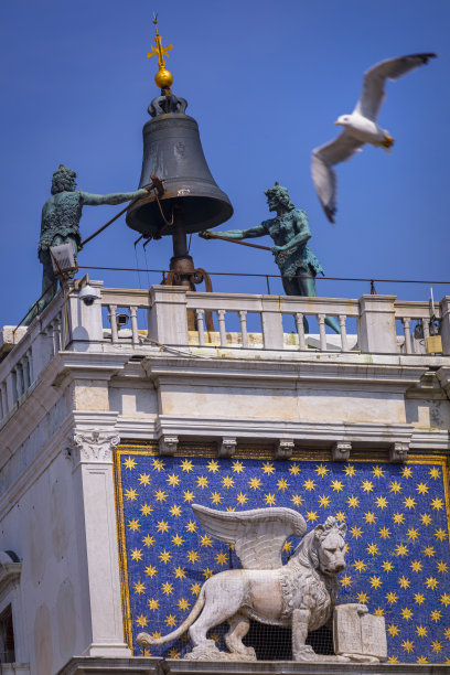 海鸥飞过圣马可广场，圣马克钟塔，意大利威尼斯图片下载