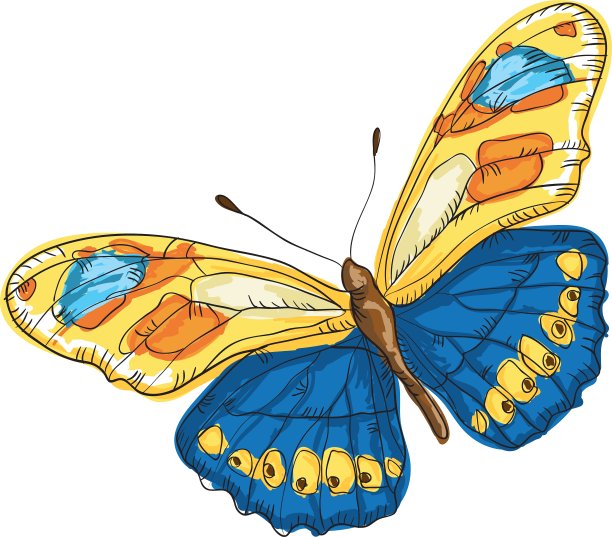 彩色翅膀的蝴蝶图片下载