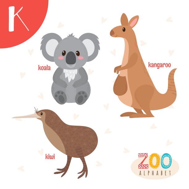 字母K可爱的动物有趣的卡通动物图片下载