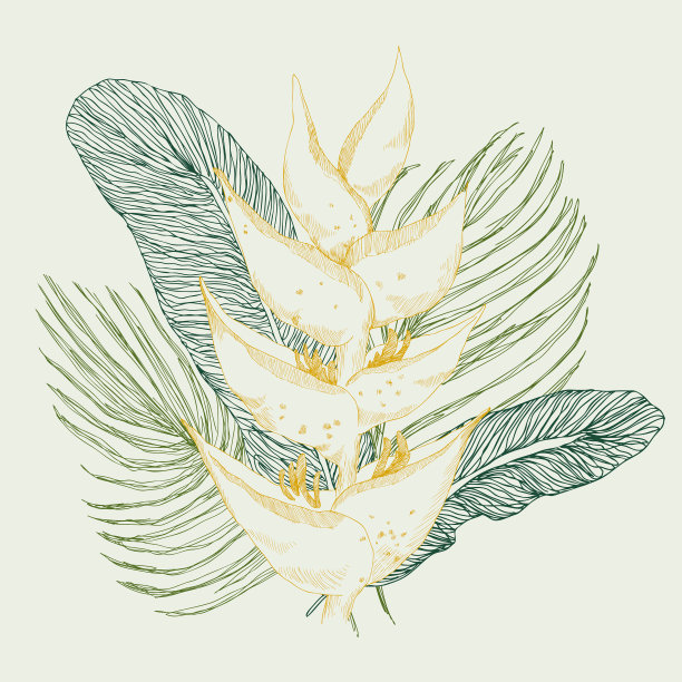 奇异的热带植物图片下载