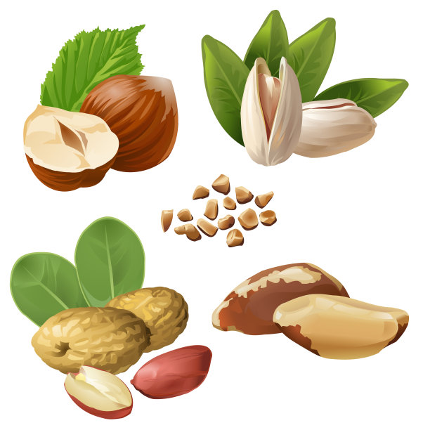 设置坚果图标图片下载