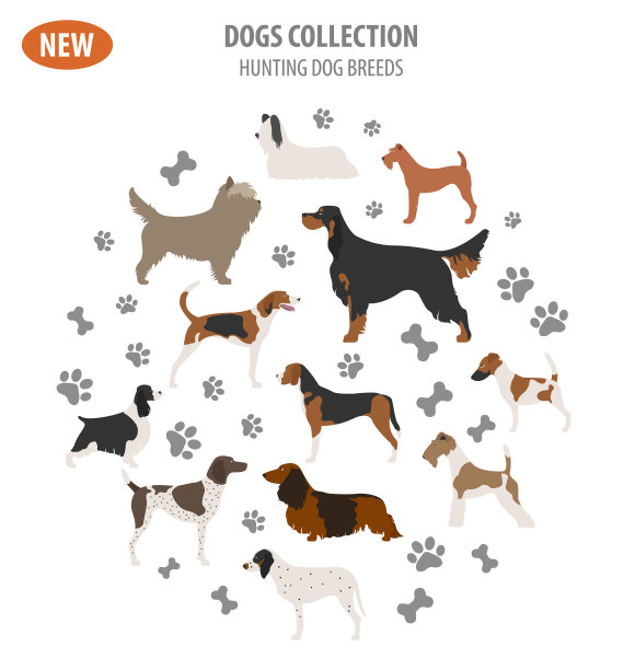 猎犬品种图标，白色背景图片下载
