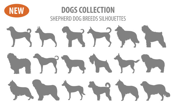 牧羊犬品种图标集图片下载