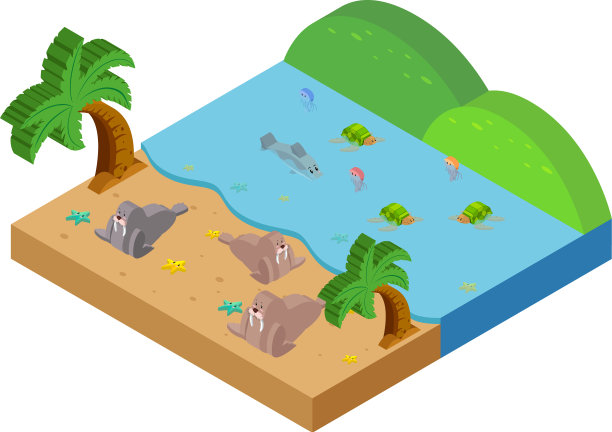 3d设计海洋场景与海洋动物图片下载