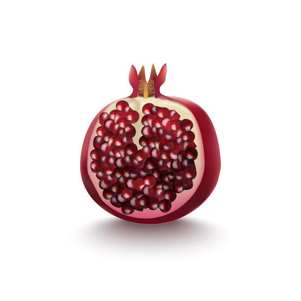 现实详细的3d石榴一半图片下载