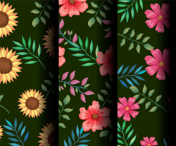 枝与叶装饰设置图案图片下载