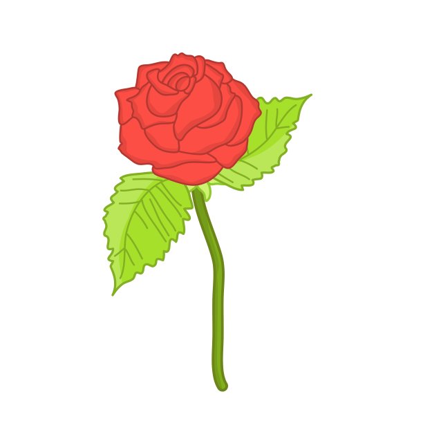 红玫瑰图片下载