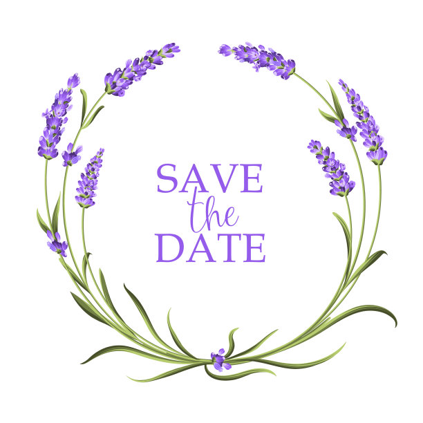 淡紫色的优雅卡片图片下载