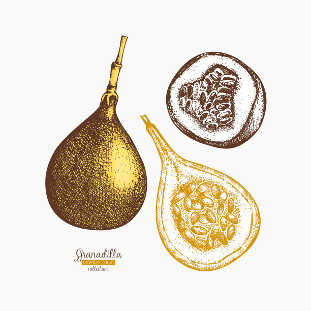 甜蜜的granadilla图片下载