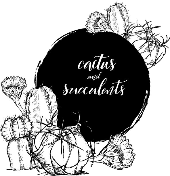 仙人掌多肉植物线形素描图片下载