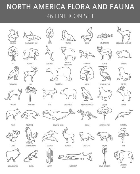 平坦的北美动植物元素图片下载