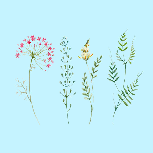 水彩花卉组图片下载