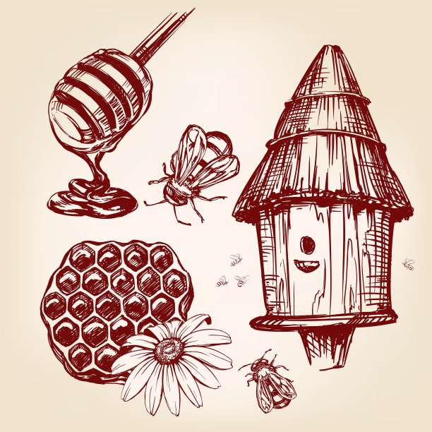 蜂蜜元素设置手绘插图图片下载