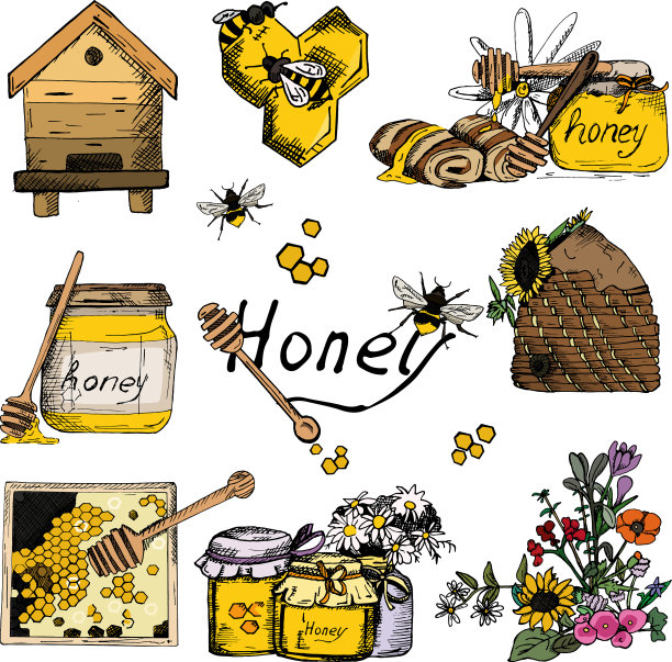 背景墙纸素描风格蜂蜜图片下载