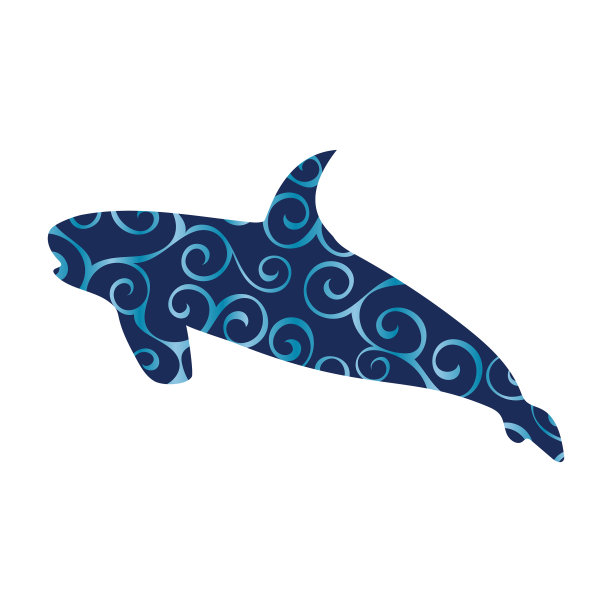 鲨鱼捕食彩色剪影动物图片下载