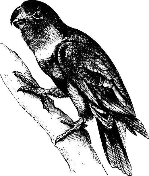 萝莉复古图片下载