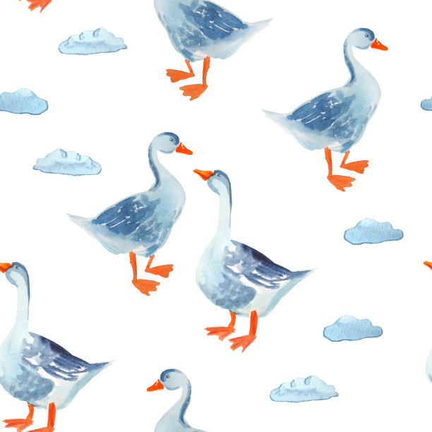 家禽无缝图案:鹅孤立在白色。水彩动画背景。图片下载