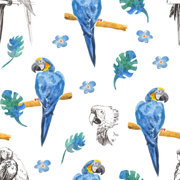 美丽的异国情调的鸟-金刚鹦鹉。原始无缝模式。图片下载