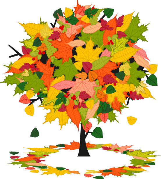 秋天的树有五颜六色的叶子图片下载