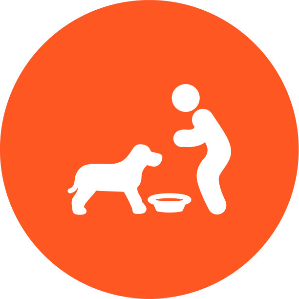 喂养宠物图片下载