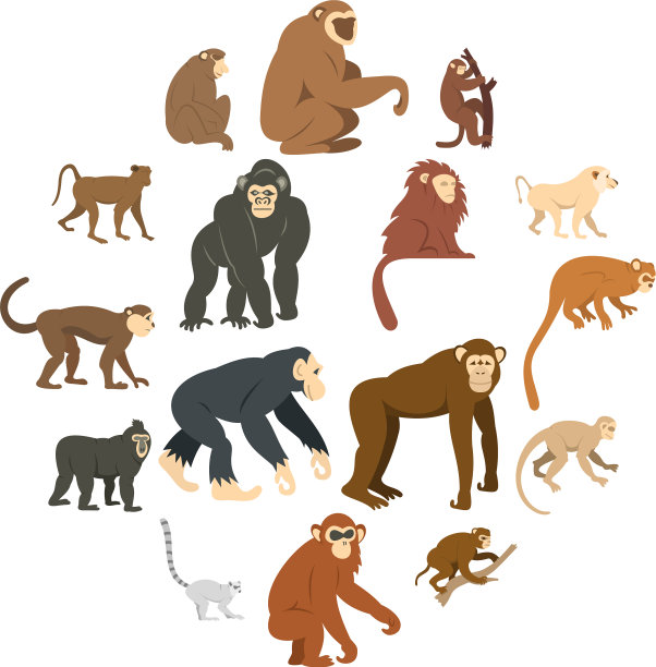 猴子类型图标设置在平面风格图片下载