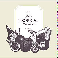 热带水果设计图片下载