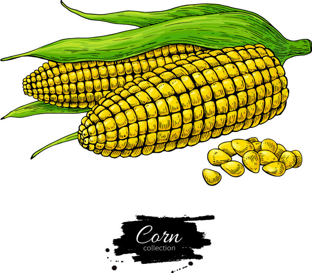 玉米手拉分离机图片下载