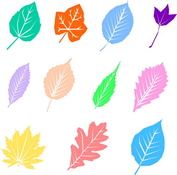 缤纷的秋叶落在白色的孤立上图片下载