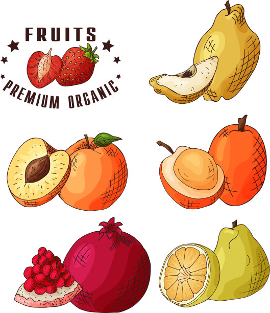 色彩丰富的食品设计图片下载