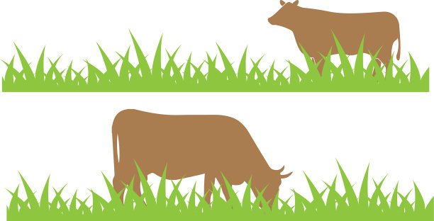 田野上的牛图片下载