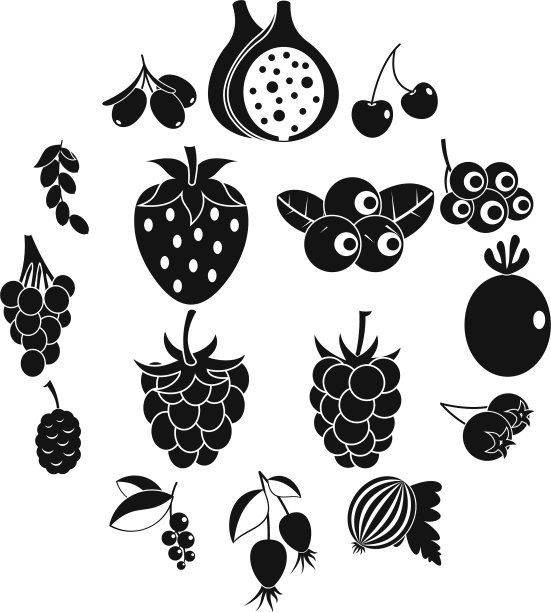 浆果图标设置简单的风格图片下载