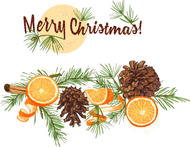 色彩丰富的杉木写实植物水墨速写图片下载