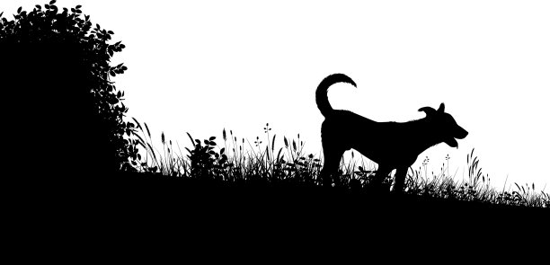 草原狗轮廓图片下载