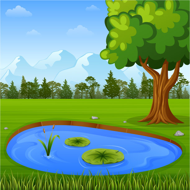 美丽的自然与水池塘图片下载