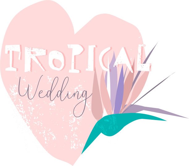 浪漫的strelizia边框设计图片下载