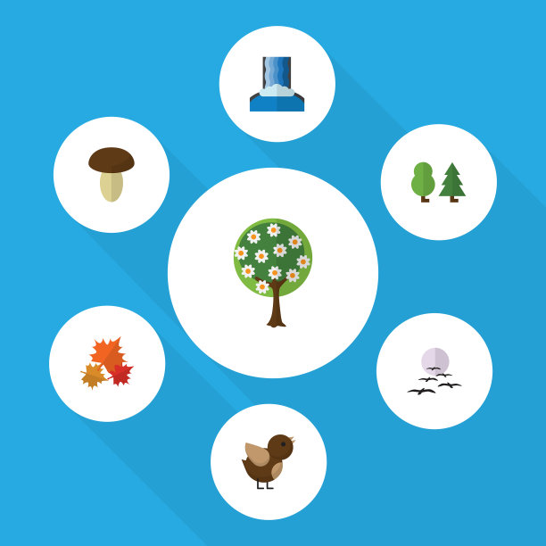 平坦的图标自然设置的加拿大瀑布海鸥图片下载