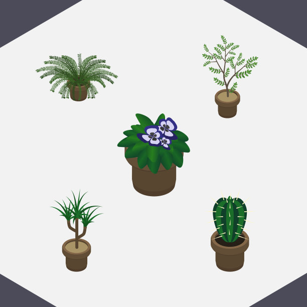 等距盆栽室内植物一套图片下载