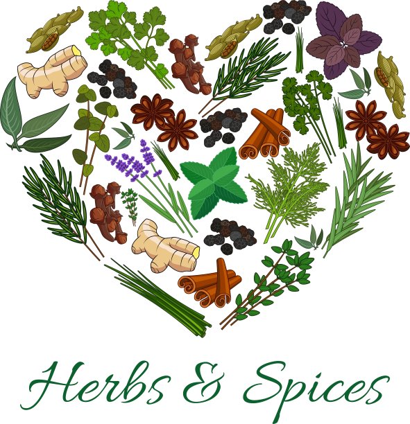 香草和香料的图标心形象征图片下载