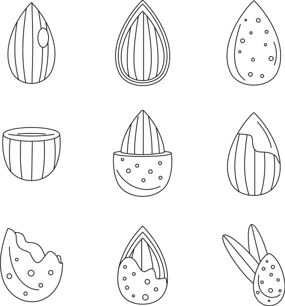 杏仁核桃油种子图标设置轮廓风格图片下载