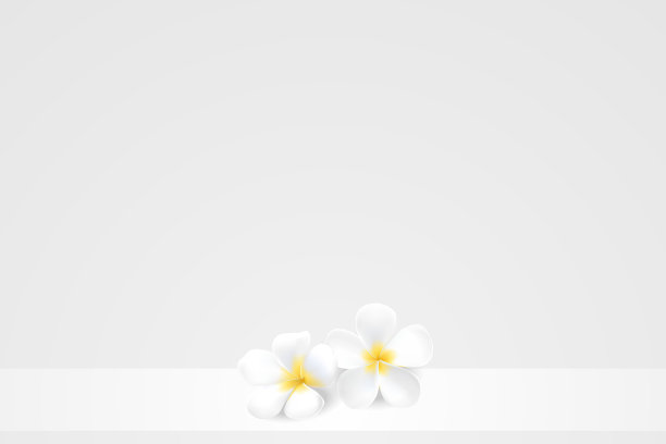 plumeria花图片下载